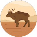 いのりす profile picture