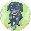 やび profile picture