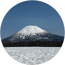 本音 profile picture