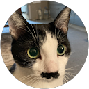 山本守高 profile picture