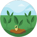 かいわれ profile picture