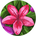 アヤメfam profile picture