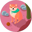 DOびぃ profile picture