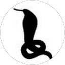 コブラ映像札幌 profile picture