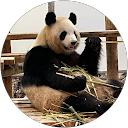 ガーネット profile picture