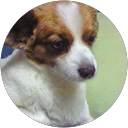 しんや profile picture